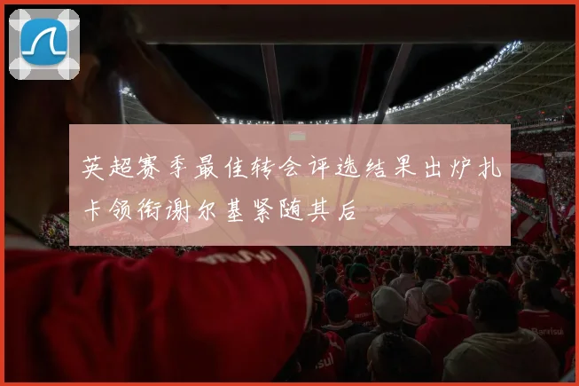 英超赛季最佳转会评选结果出炉扎卡领衔谢尔基紧随其后