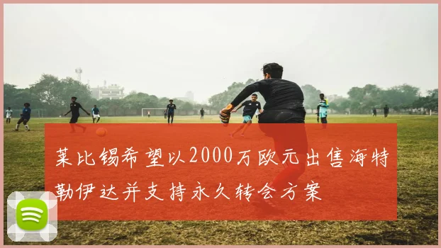 莱比锡希望以2000万欧元出售海特勒伊达并支持永久转会方案