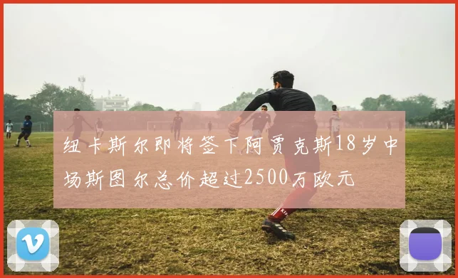 纽卡斯尔即将签下阿贾克斯18岁中场斯图尔总价超过2500万欧元